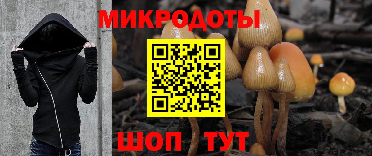 Лесосибирск  Галлюциногенные грибы ЛСД  Вход с VPN 